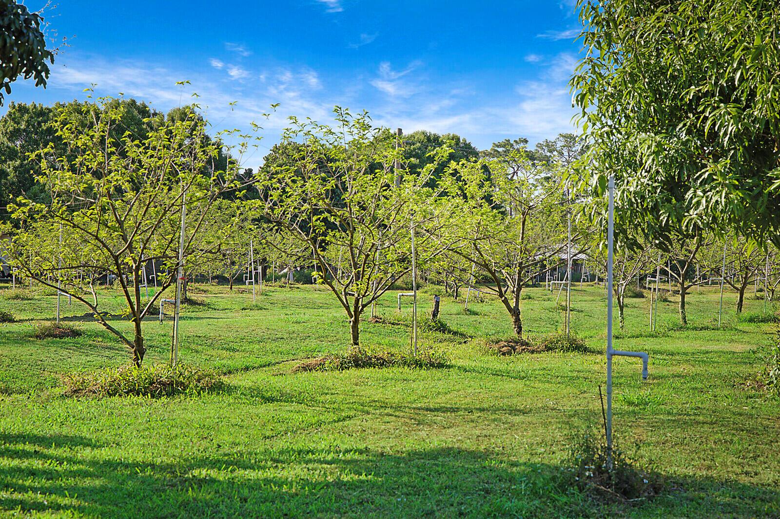 LOXAHATCHEE GROVES - Land