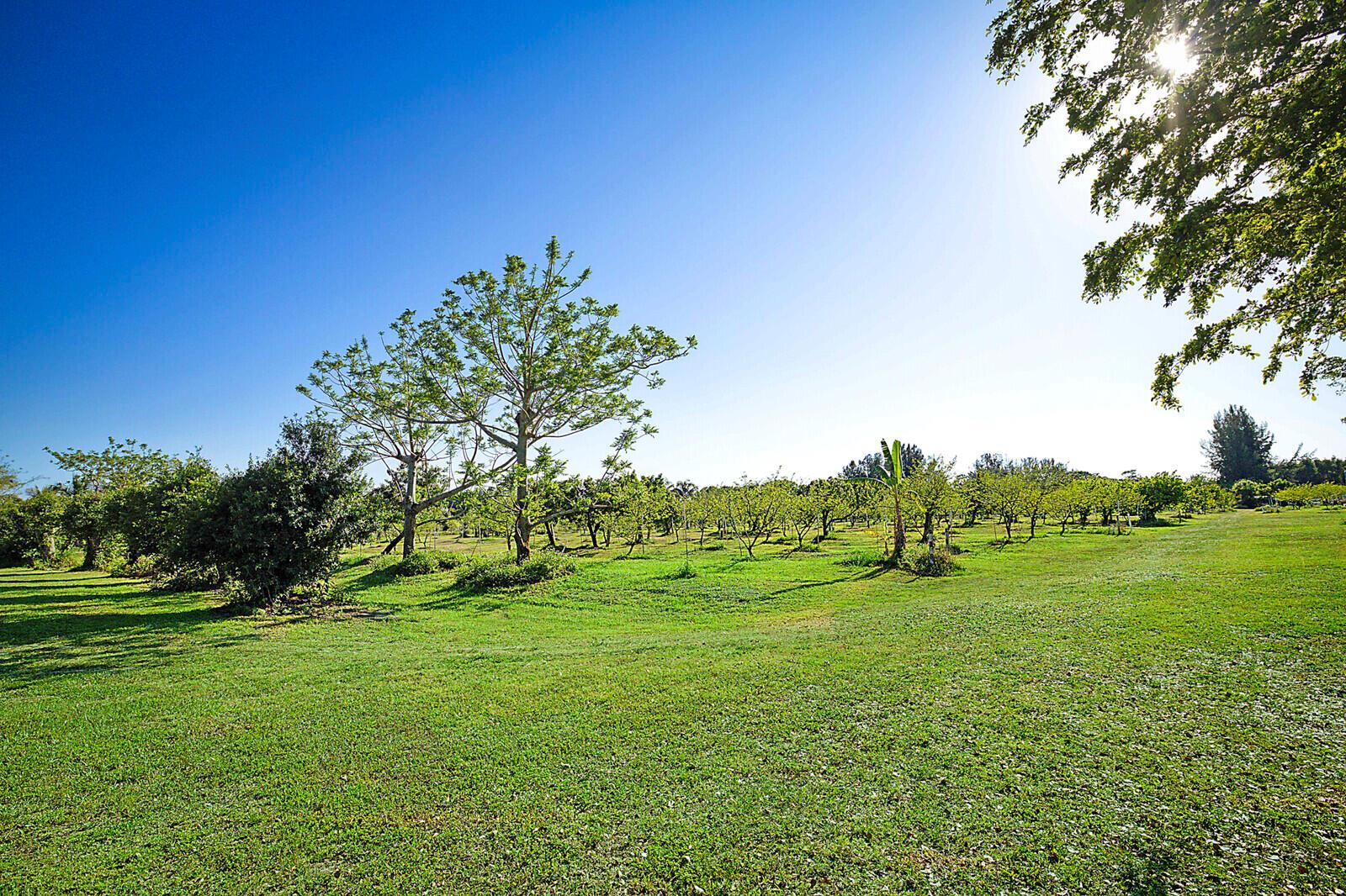 LOXAHATCHEE GROVES - Land