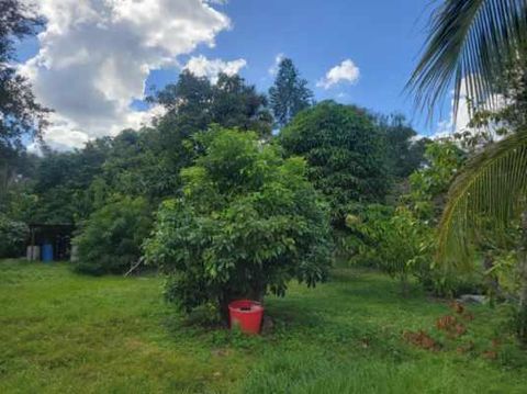 A home in Okeechobee