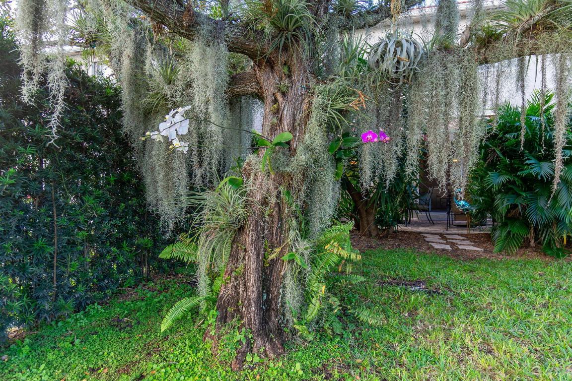 THOUSAND OAKS - Residential