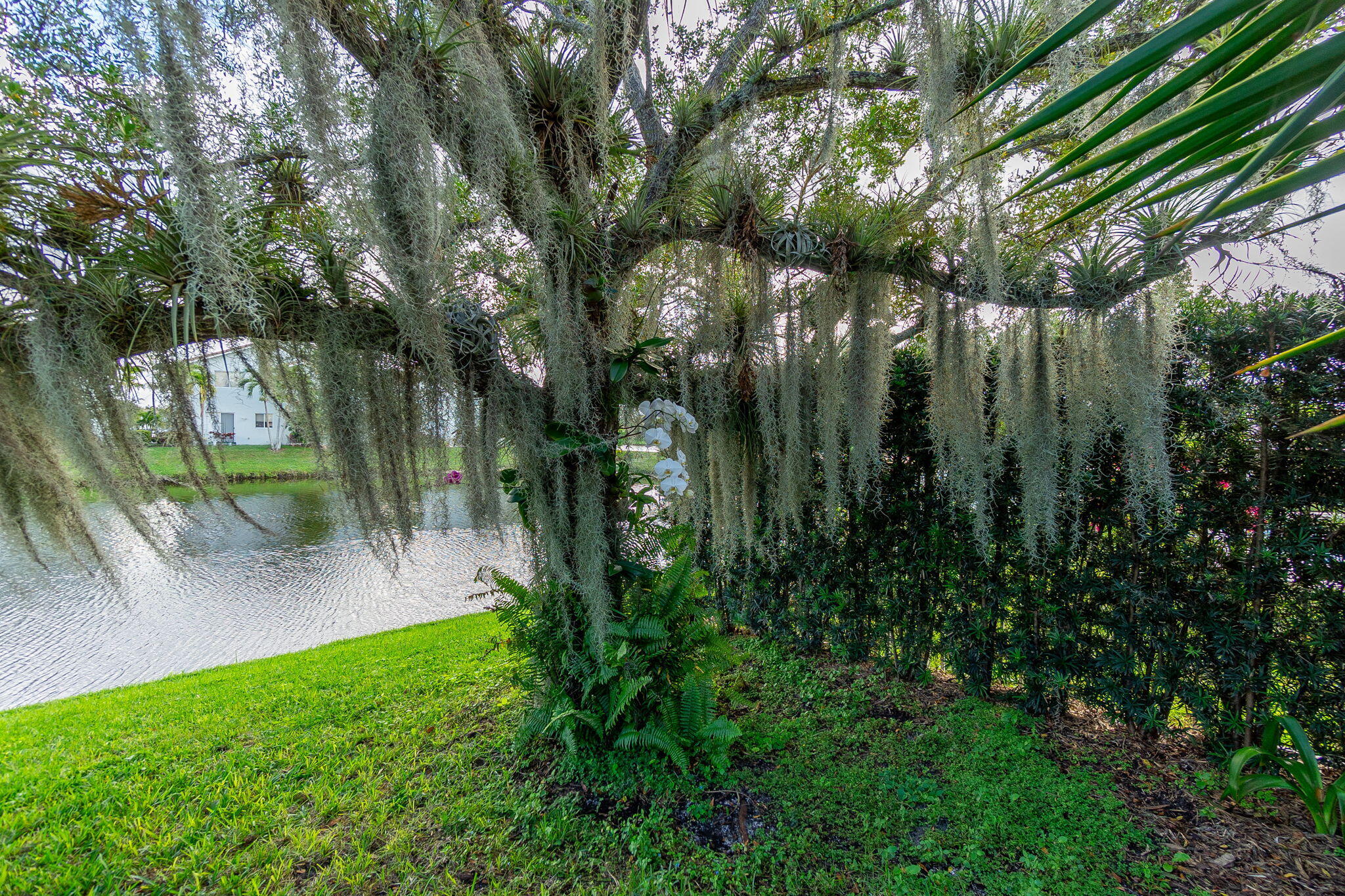 THOUSAND OAKS - Residential