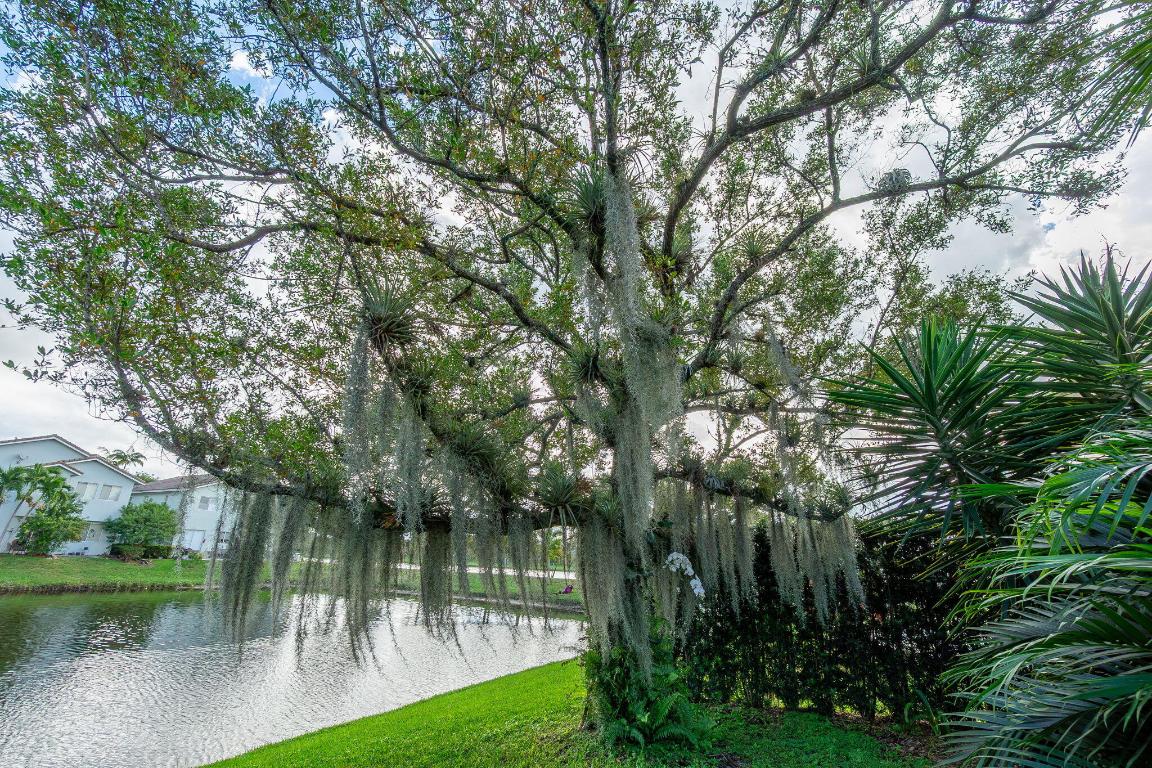 THOUSAND OAKS - Residential