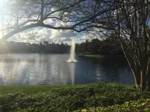 4159 N Haverhill Rd Unit 1317  