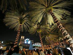 PALM ISLES - Residential