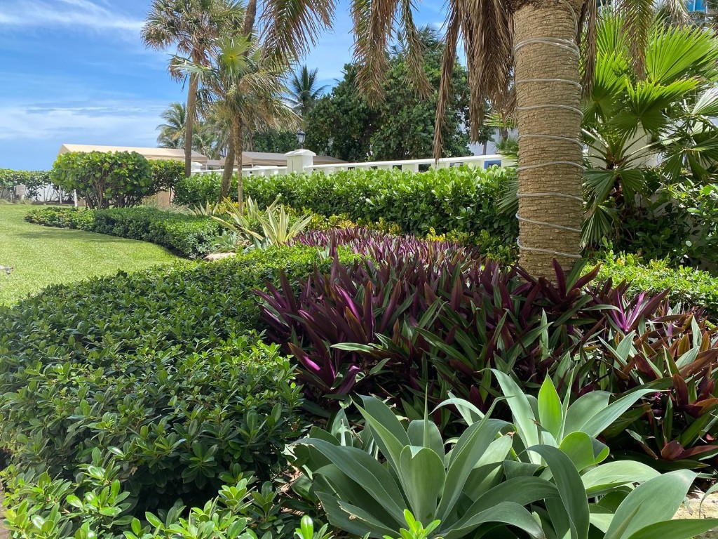 The Alexander Towers Cond - Residential Lease