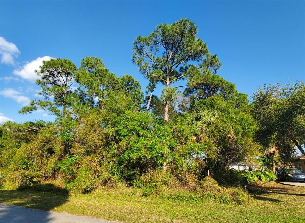 Photo of 1586 SW Del Rio Boulevard, Port Saint Lucie, FL 34953 (MLS # R10774857)