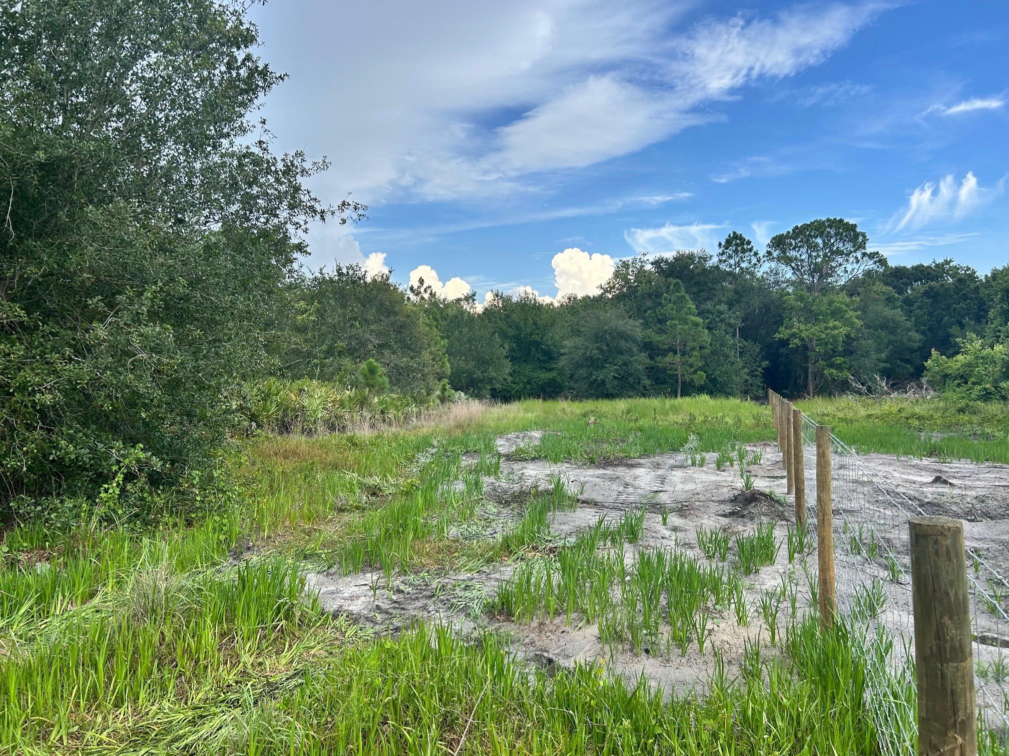 Beautiful, heavily wooded 10+/- acre buildable tract located approximately 9 miles North of the city of Okeechobee. This property has a newly constructed perimeter fence with a nice recessed board fence entrance. Located in a heavily wooded area with plenty of deer, turkey, etc for hunting or just enjoy looking at them. This is a rare find, so don’t let this one slip away.