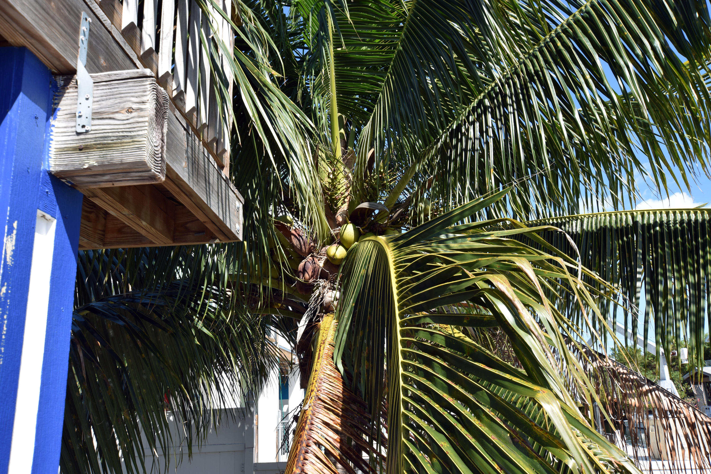 CUTTHROAT HARBOR ESTS - Residential