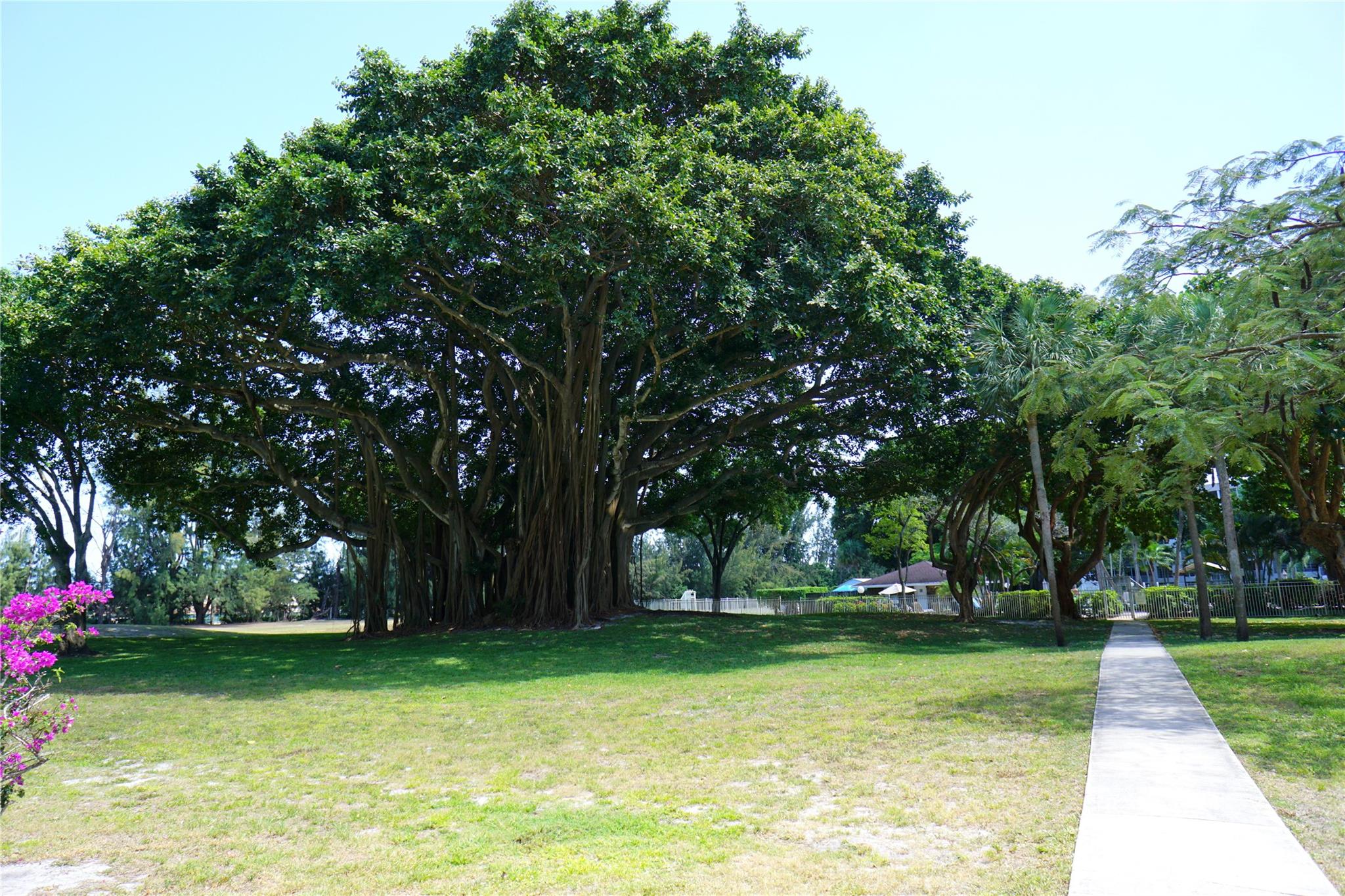 Palm Aire No  15 - Residential