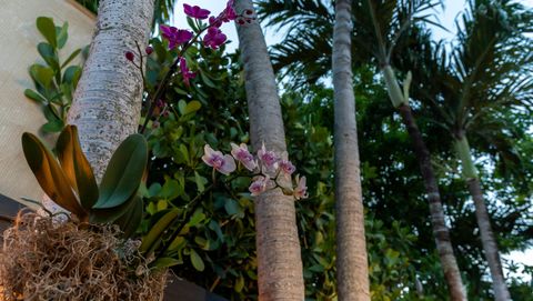 A home in Miami