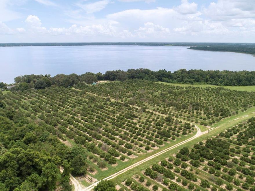 This 85 + acre piece could be your secluded lakefront getaway or an incredible investment opportunity capitalizing on the nearby recreational opportunities near this property. Ocklawaha Groves is located on the beautiful Lake Weir, a 5,000 acre fresh-water lake with two restaurants, opportunities for boating and fishing, and picturesque sunrise views over the lake. Surrounded by Carney Island Park, this property provides ample options for outdoor enthusiasts, including a beach, hiking, and wild-life spotting. This property is just a short drive to The Villages or Ocala, ensuring easy access to medical care, shopping, dining, and event options! Adjacent house and guest house available.