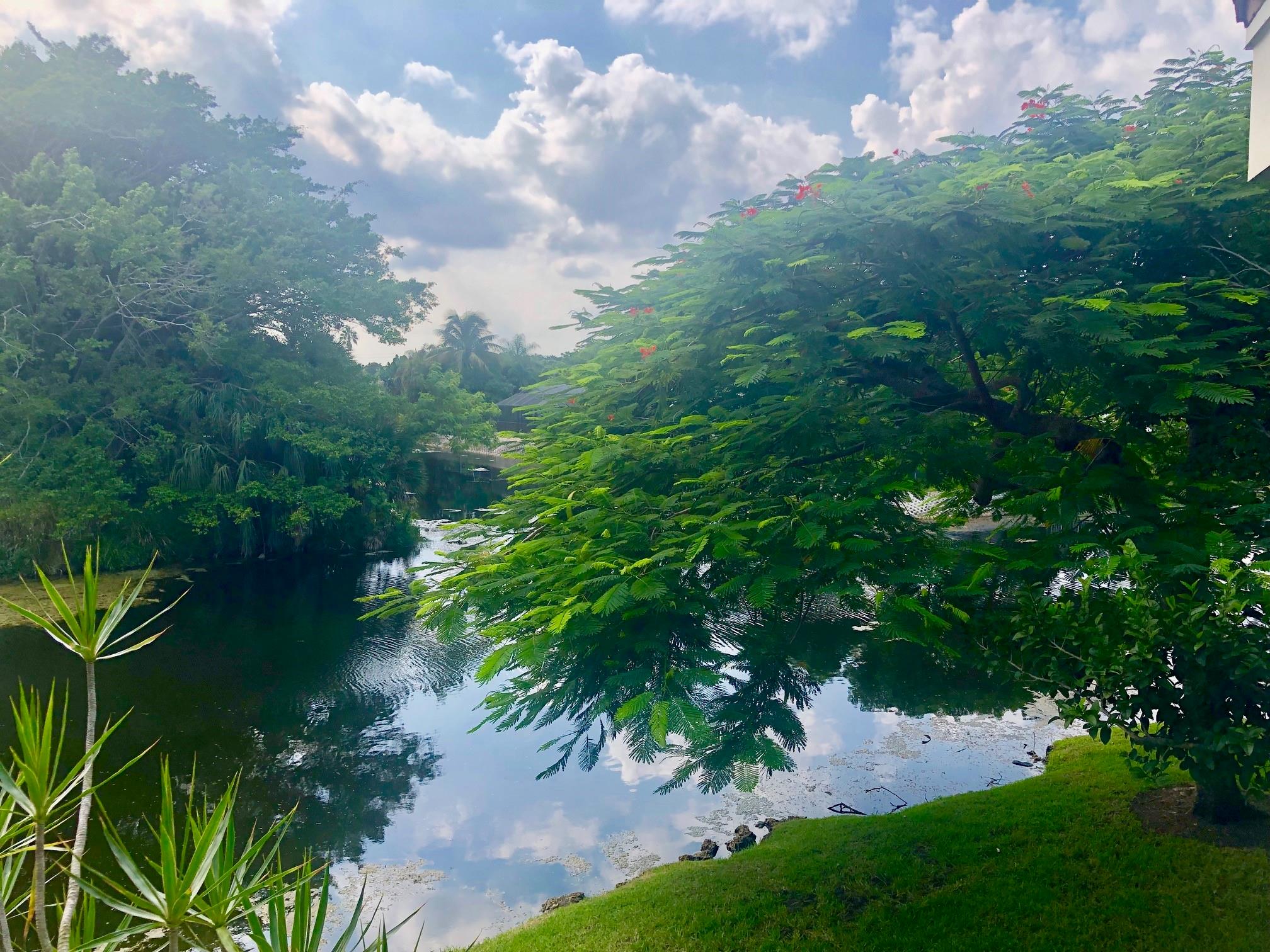 Centerpointe Condo - Residential Lease