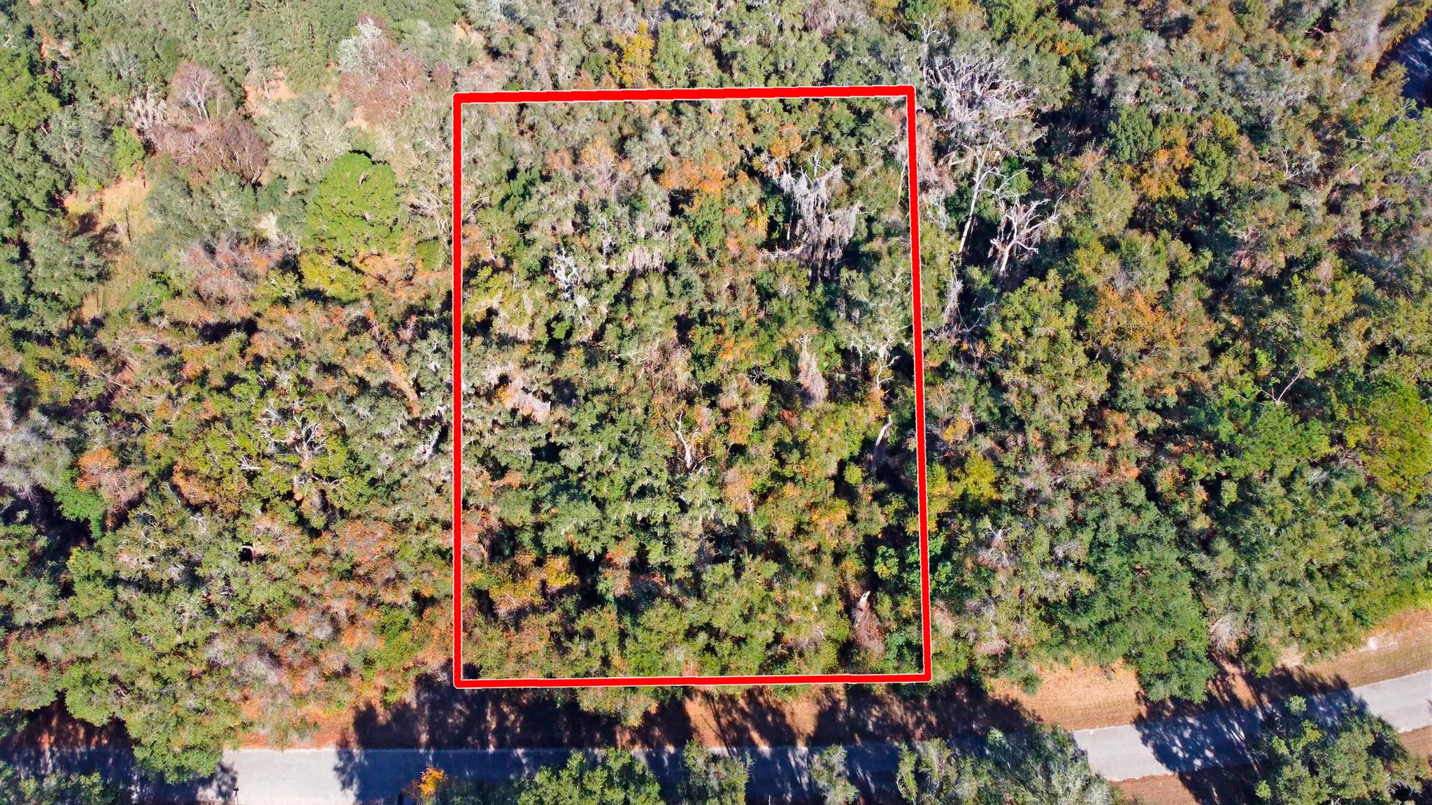 CITRUS SPRINGS UNIT 17 - Land