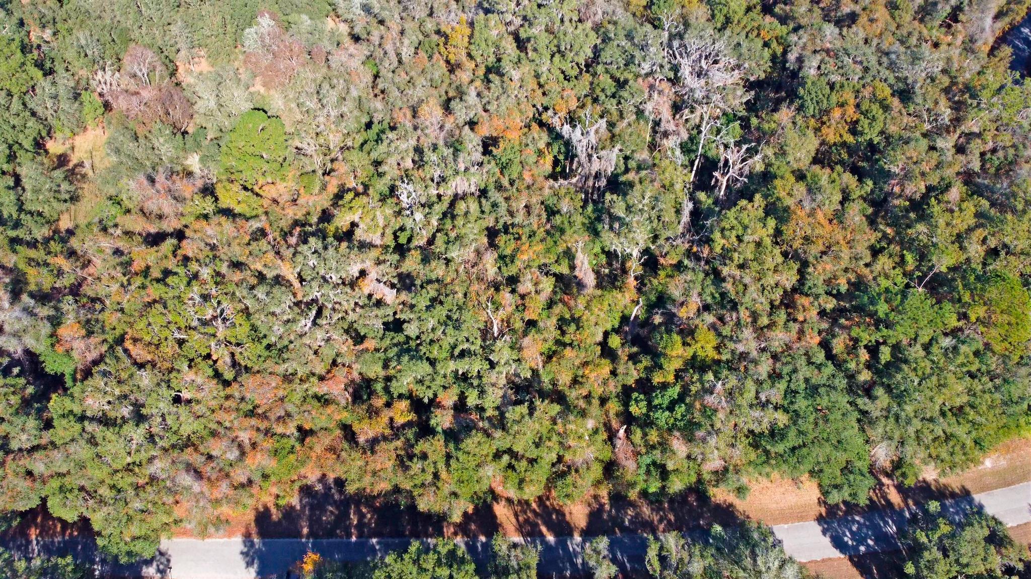 CITRUS SPRINGS UNIT 17 - Land