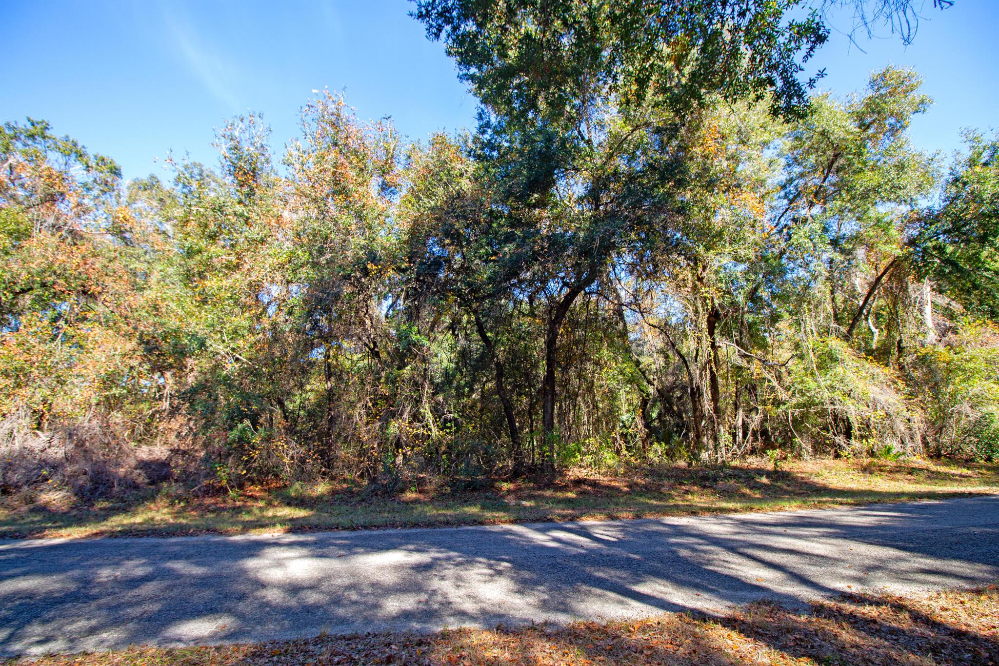 CITRUS SPRINGS UNIT 17 - Land