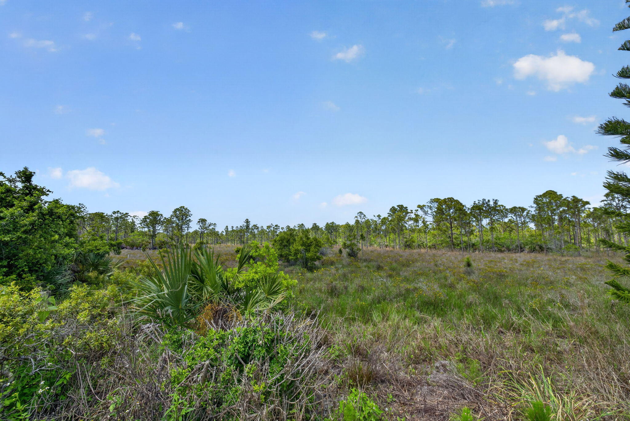 EAGLE'S RETREAT AT SAVANNA CLUB PHASE 2 - Residential