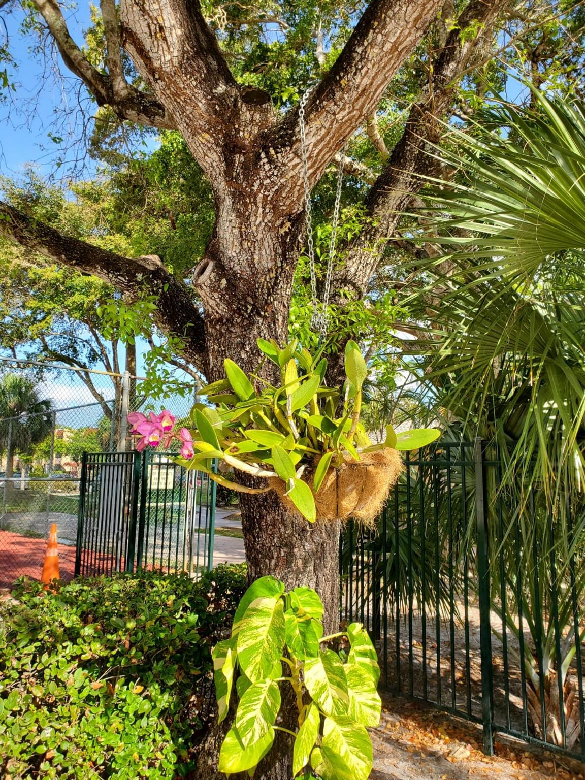 Oakbrook Village - Residential