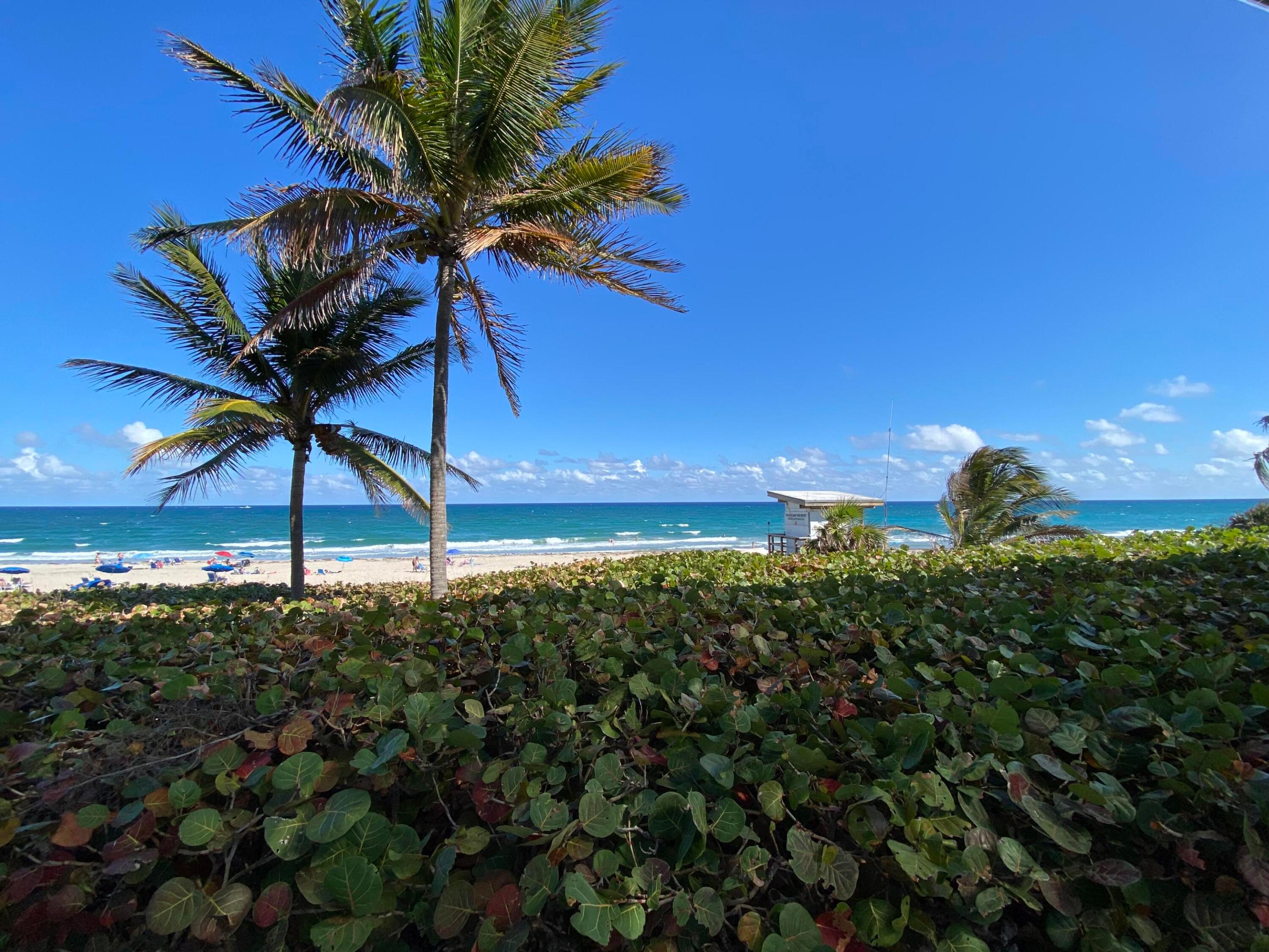 VILLAGE ROYALE CONDO 4 - Residential