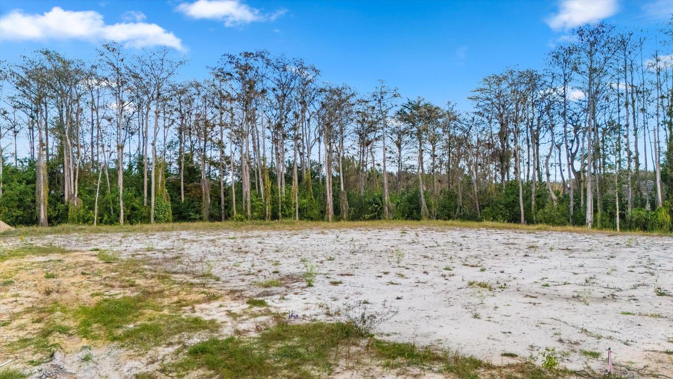 Palm Beach Country Estates - Residential