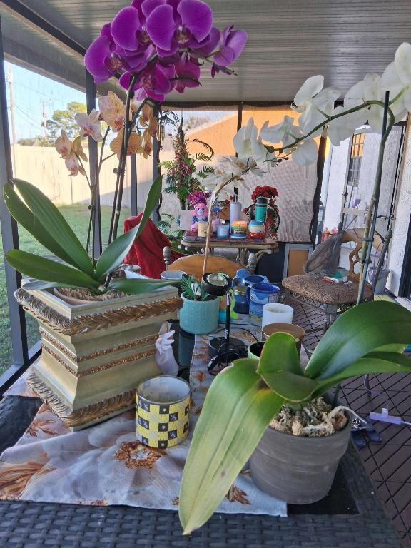 PORT ST LUCIE SECTION 41 - Residential