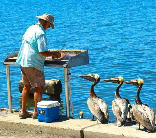 CASCADES - Residential