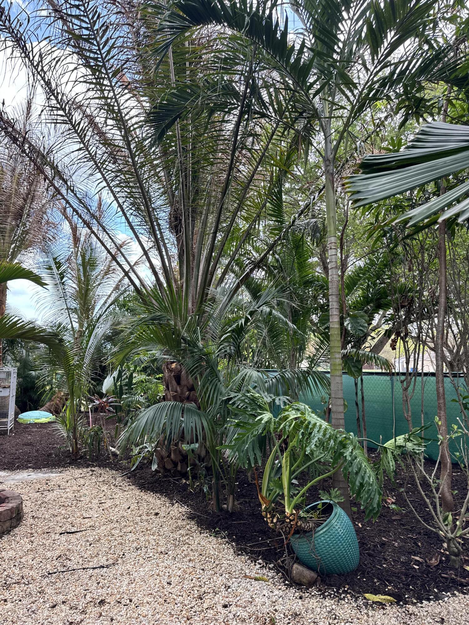 MURRAY COVE - Residential