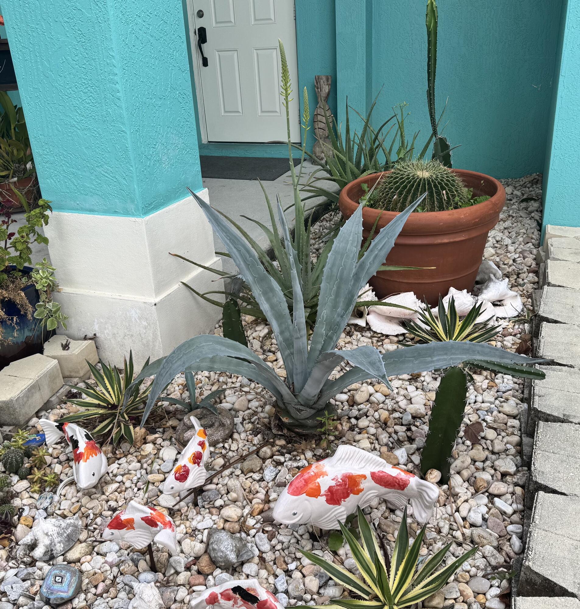 MURRAY COVE - Residential