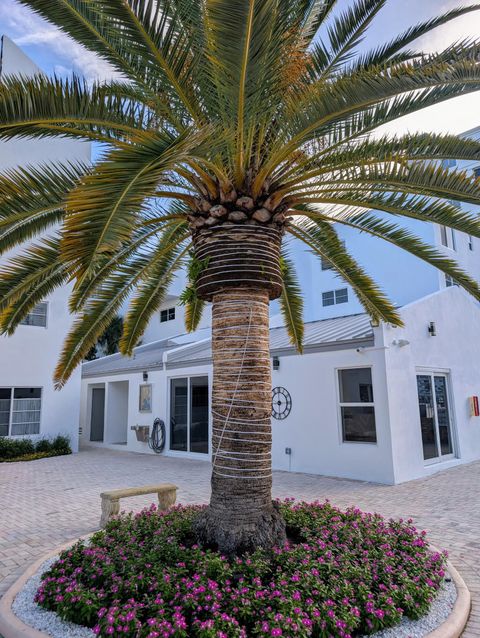 Tiny photo for 2860 NE 14th Street Causeway, Pompano Beach, FL 33062 (MLS # B26053376)