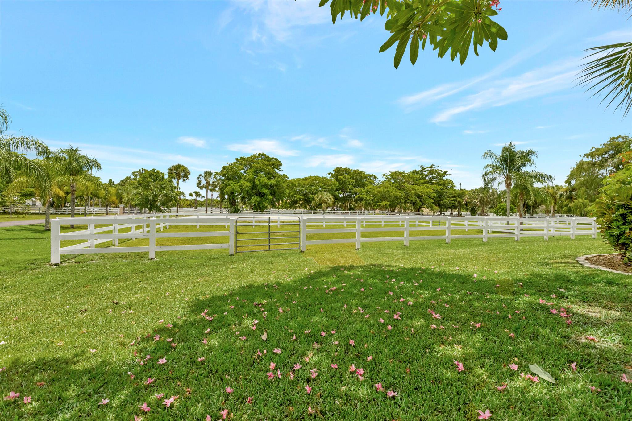 DEER RUN 2 - Residential