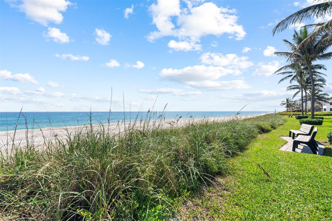 1194 Hillsboro Mile 12