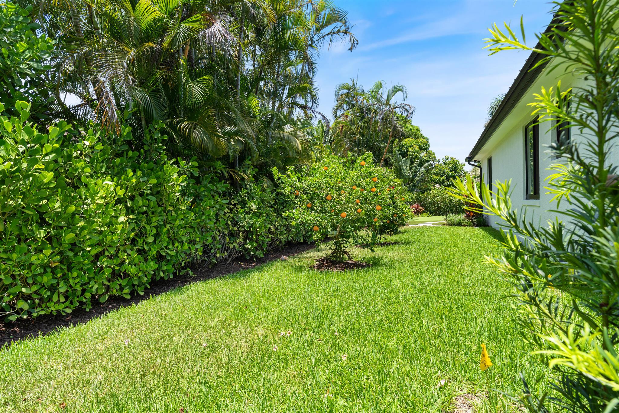 ESTATES MANGO DE PARIS - Residential