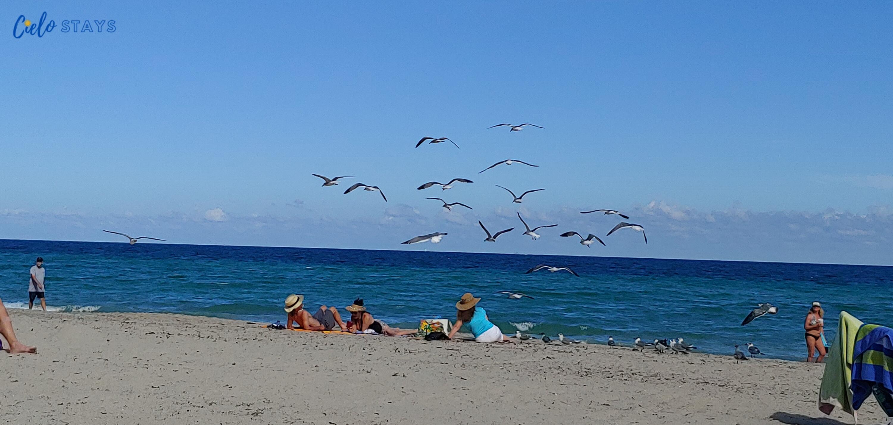 COSTA HOLLYWOOD CONDO - Residential