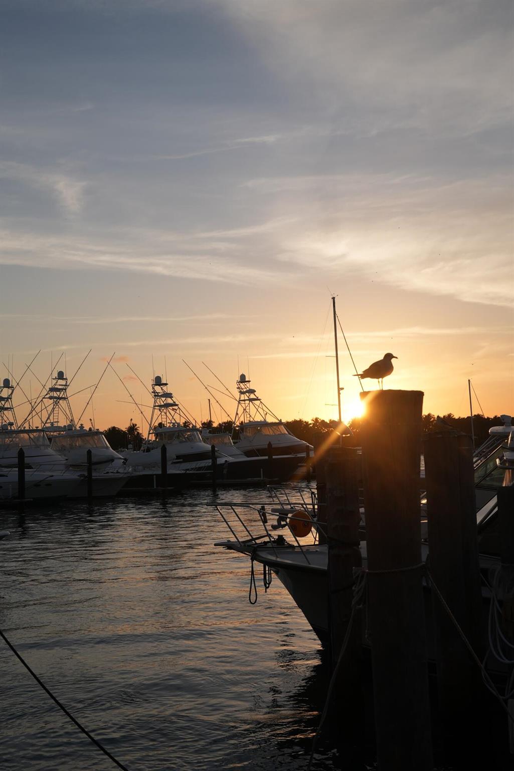 Havn Yacht Club & Residen - Residential