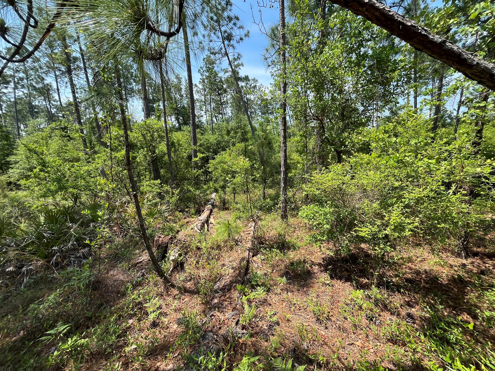 COMPASS LAKE HILLS - Land