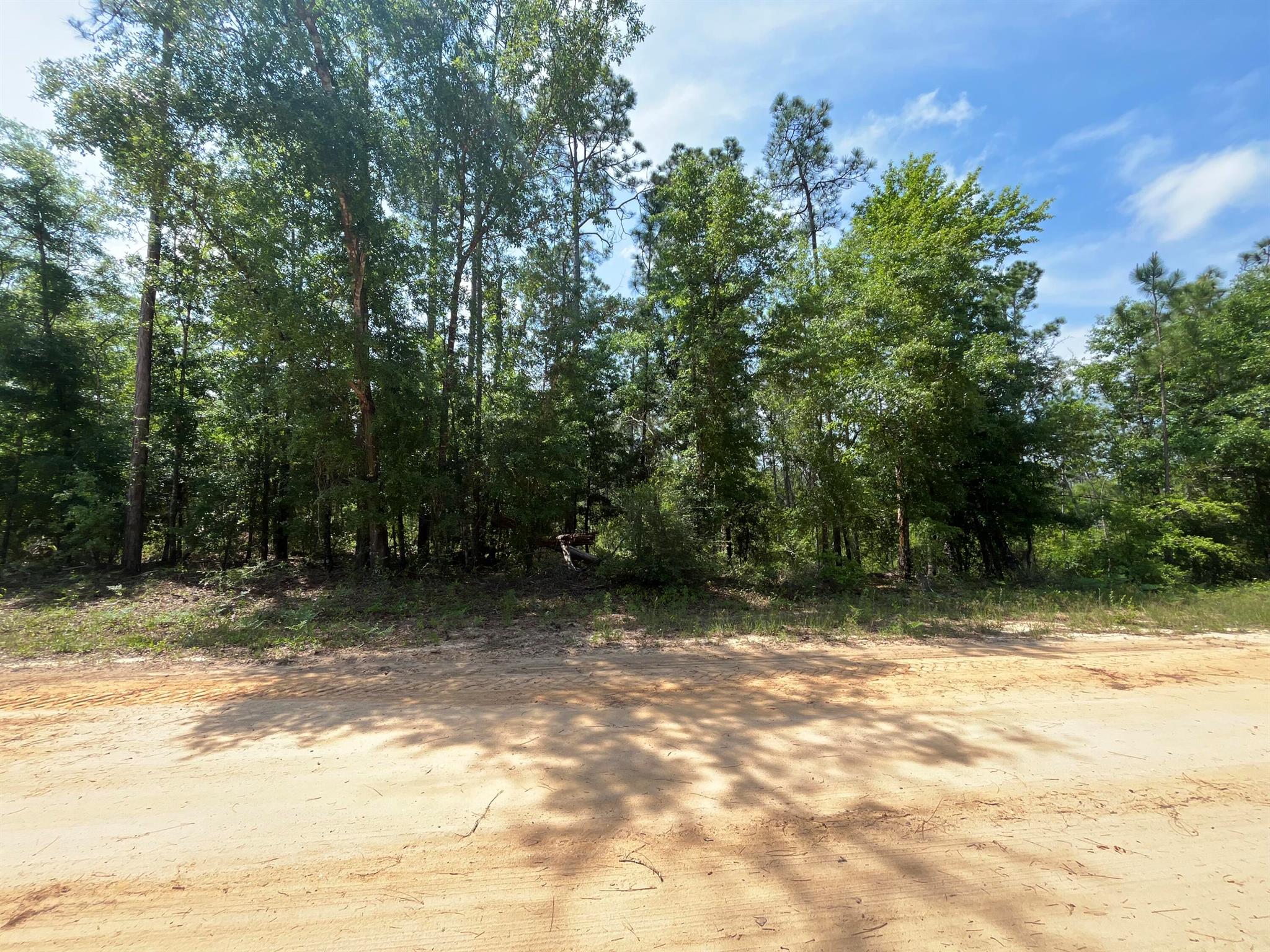 COMPASS LAKE HILLS - Land