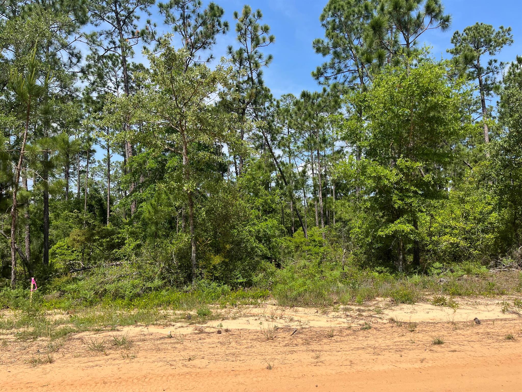 Don't miss out on this wooded 1.3 corner acre residential lot in Compass Lake in the Hills just outside of Marianna, FL. This lot would be the perfect site for your dream home. It is close to beautiful Compass Lake which is a haven for boating, skiing, fishing, and swimming. Compass Lake in the Hills also has a club house with restaurant, tennis courts, swimming pool, picnic areas, business center, etc. This lot is located in close proximity to Hwy 231 and is about 45 to Panama City and about an hour to the Gulf Coast and its beautiful beaches! This is great opportunity to invest in the growing panhandle of Northwest Florida NEARBY LOT FOR DIRECTION PURPOSES 1097 HOLLY SPRINGS AVE