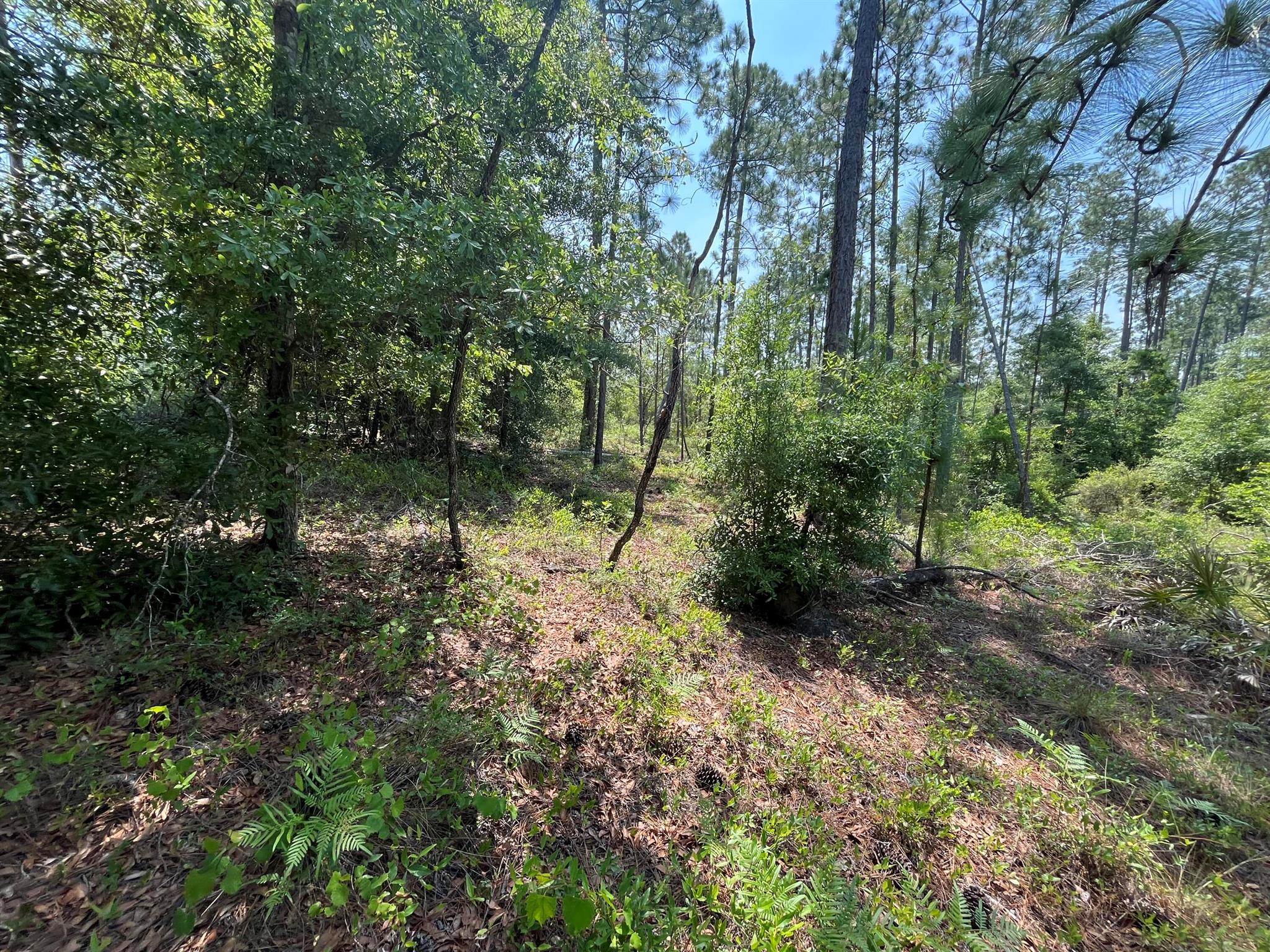 COMPASS LAKE HILLS - Land