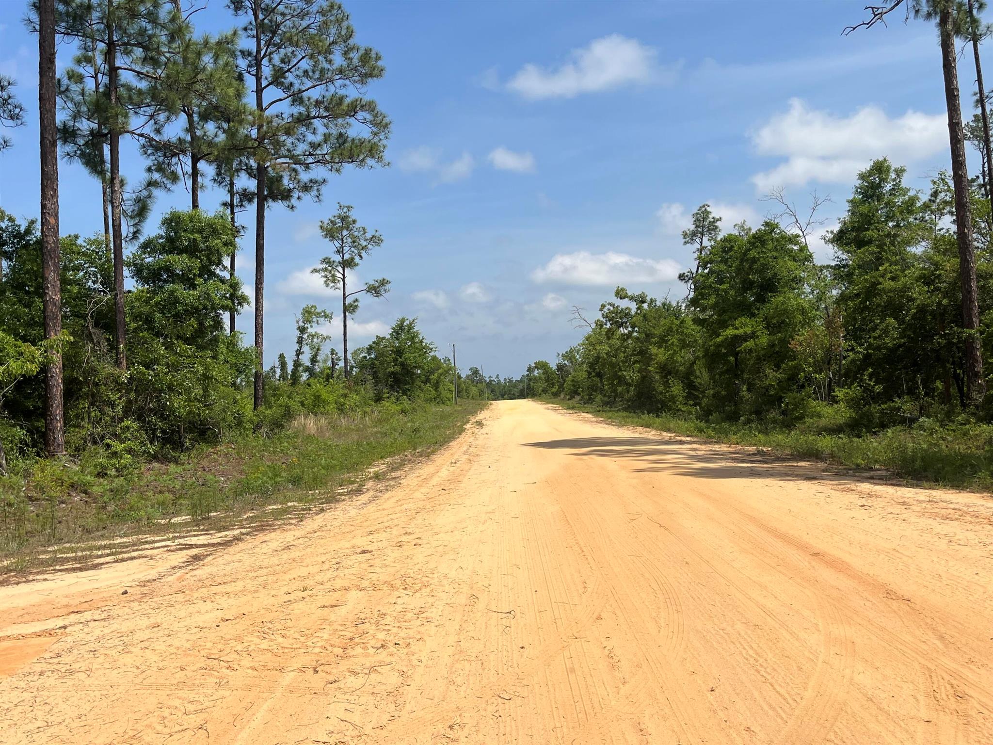 COMPASS LAKE HILLS - Land