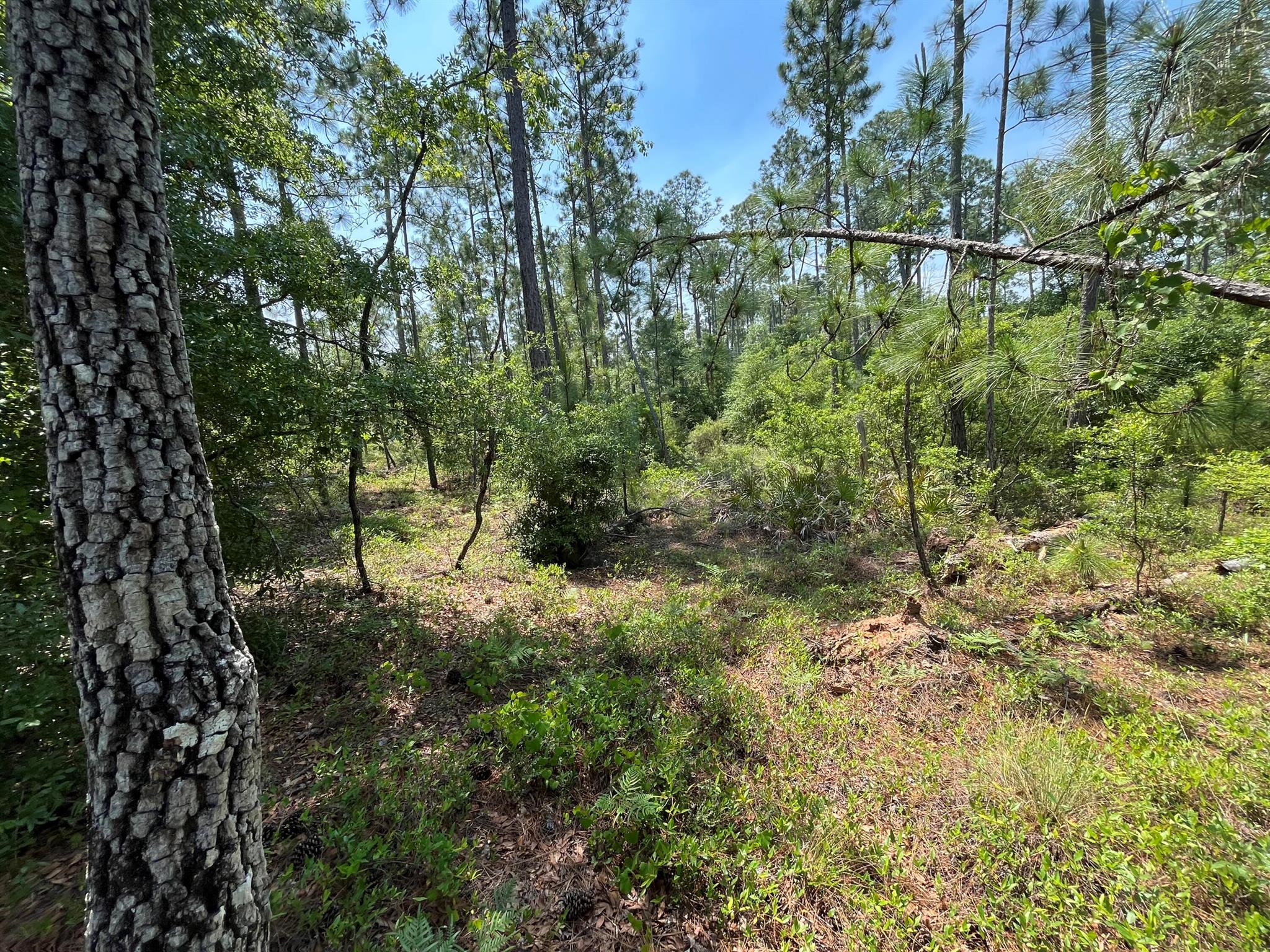 COMPASS LAKE HILLS - Land