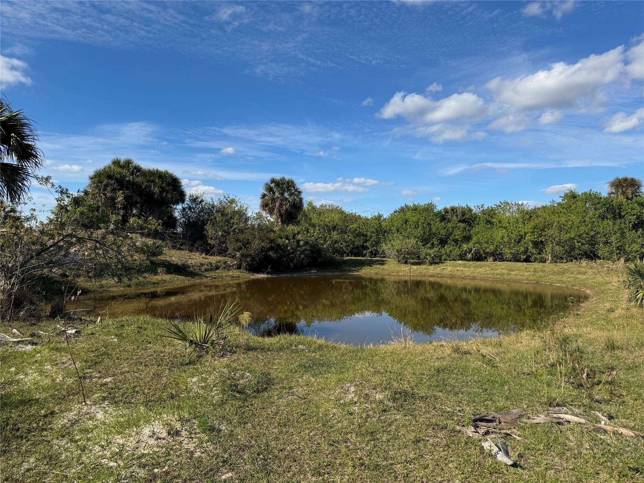 20 Acres in Cabbage Wood Ranches! This property is high and dry besides a pond that is perfect for livestock . It is partially fenced , and power is right in front of the property . It is ready for a homesite or ranching! You can have a home or mobile home on this property.