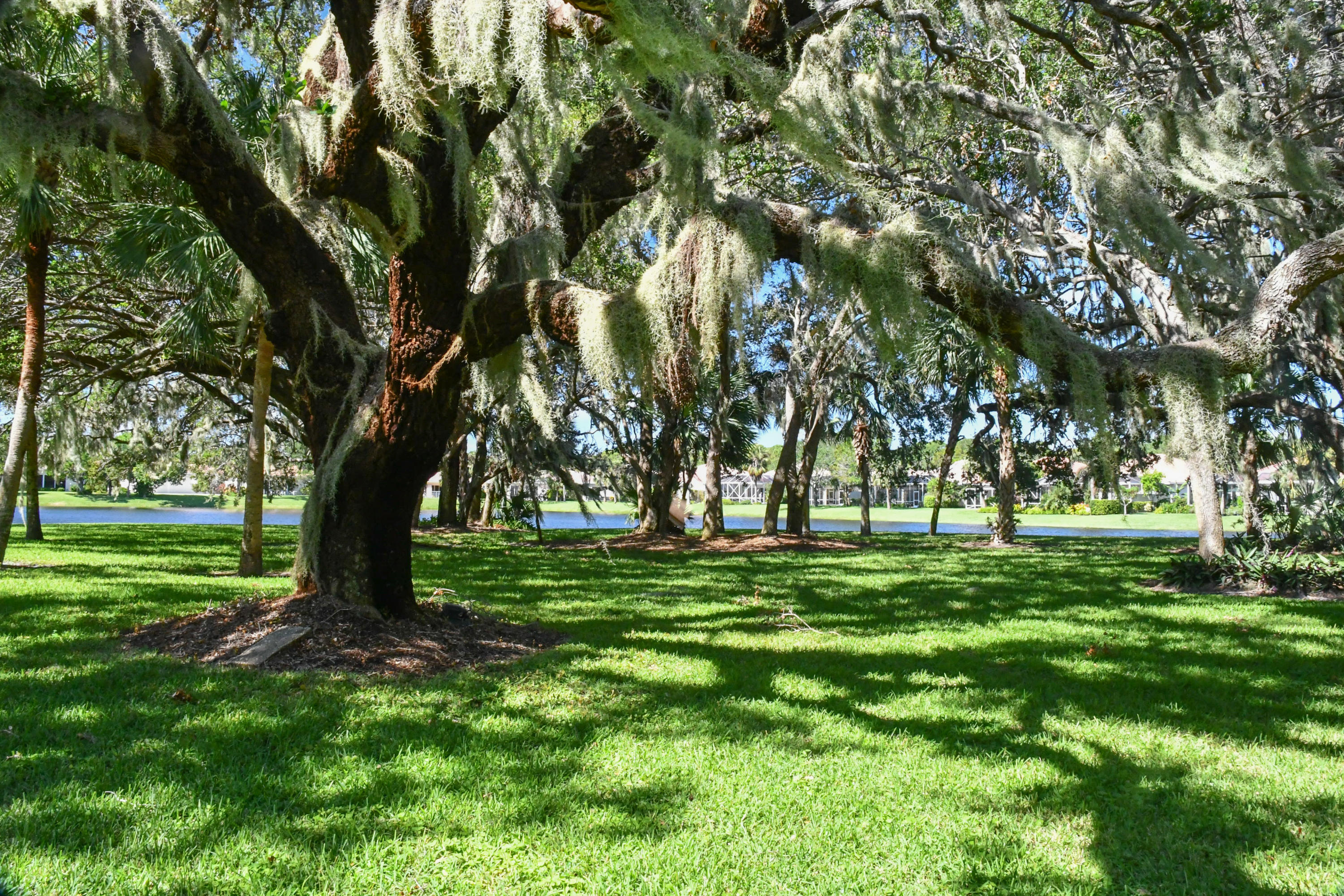 OAKS EAST - Residential