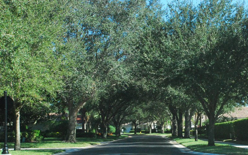 OAKS EAST - Residential