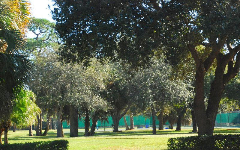 OAKS EAST - Residential