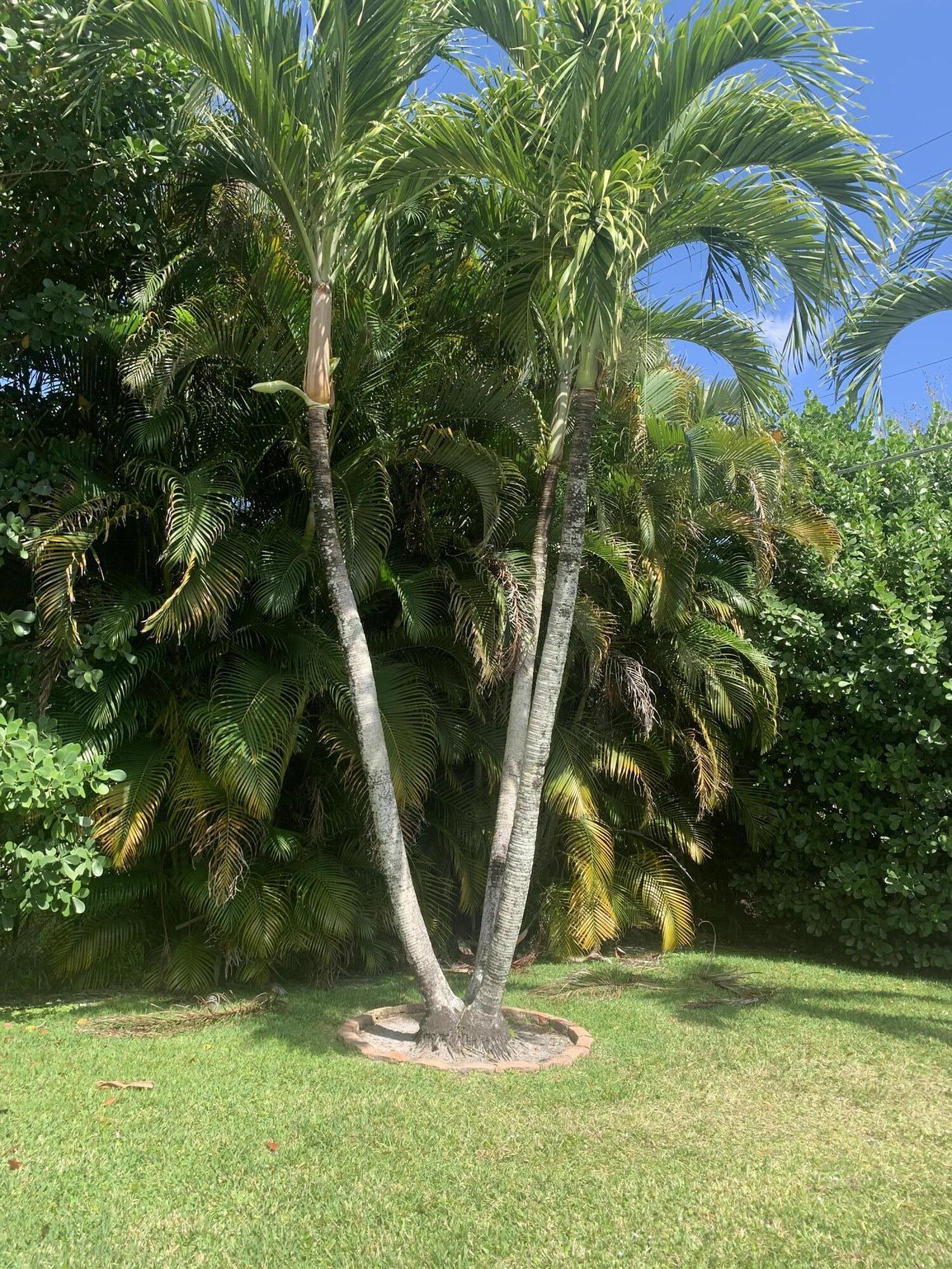 PALM BEACH NATL GOLF AND COUNTRY CLUB ESTATES 1 - Residential