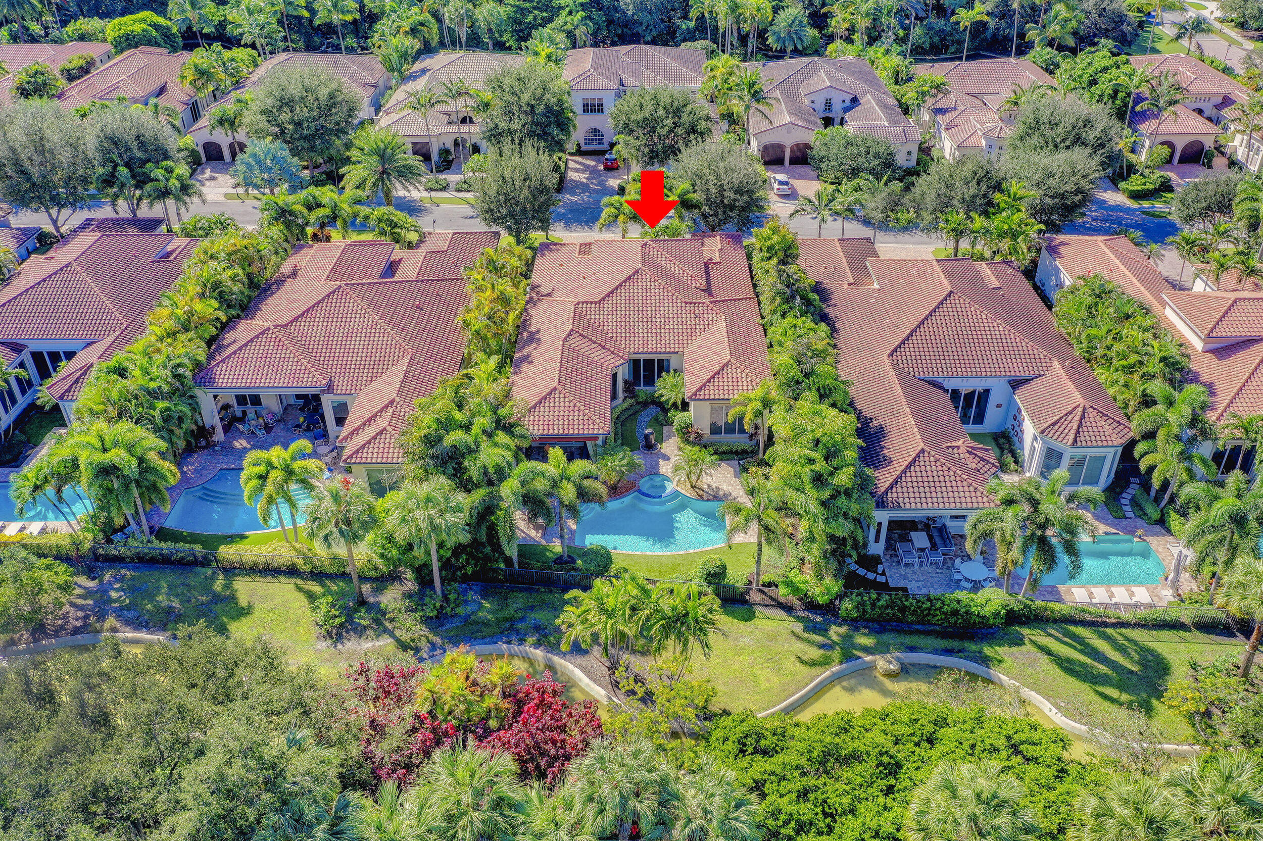 OLD PALM - Residential