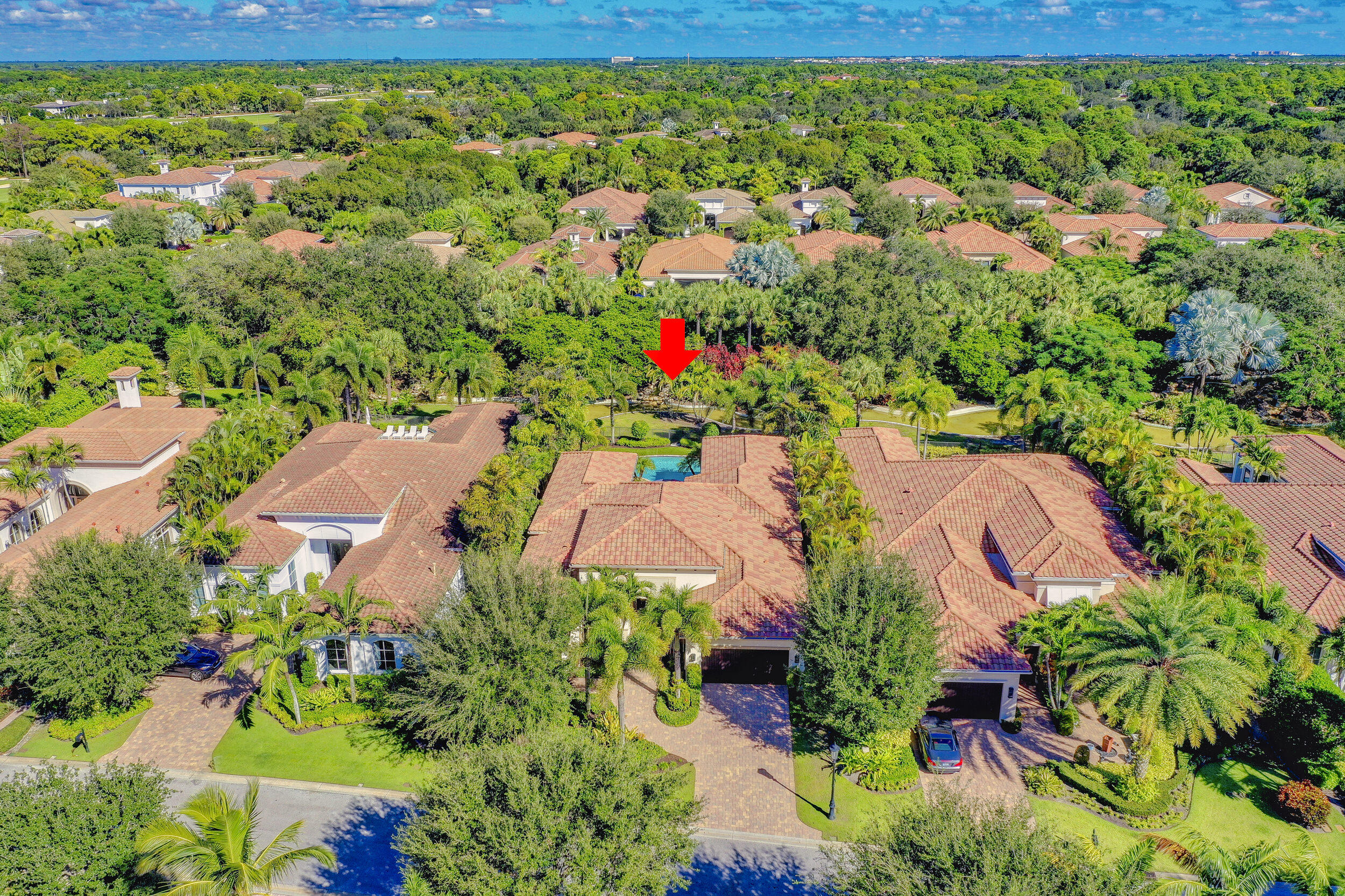 OLD PALM - Residential