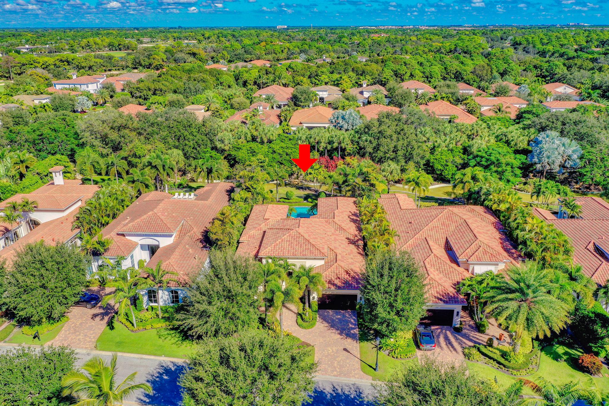 OLD PALM - Residential