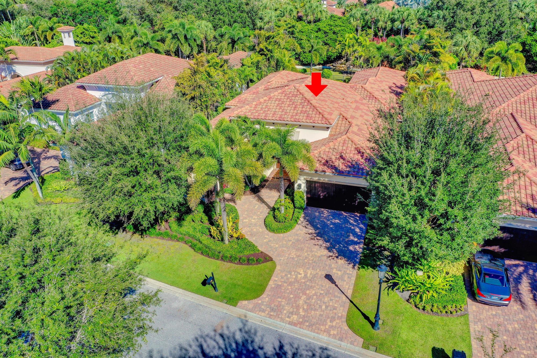 OLD PALM - Residential