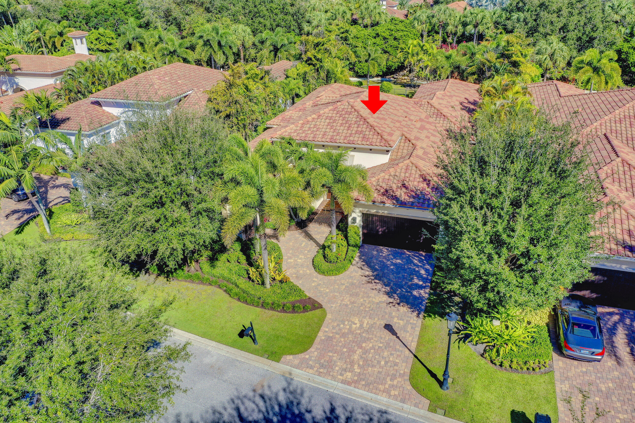 OLD PALM - Residential