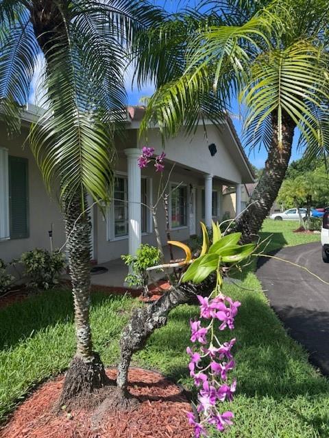 Coral Springs II - Residential Lease